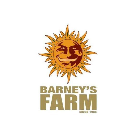 BARNEY'S