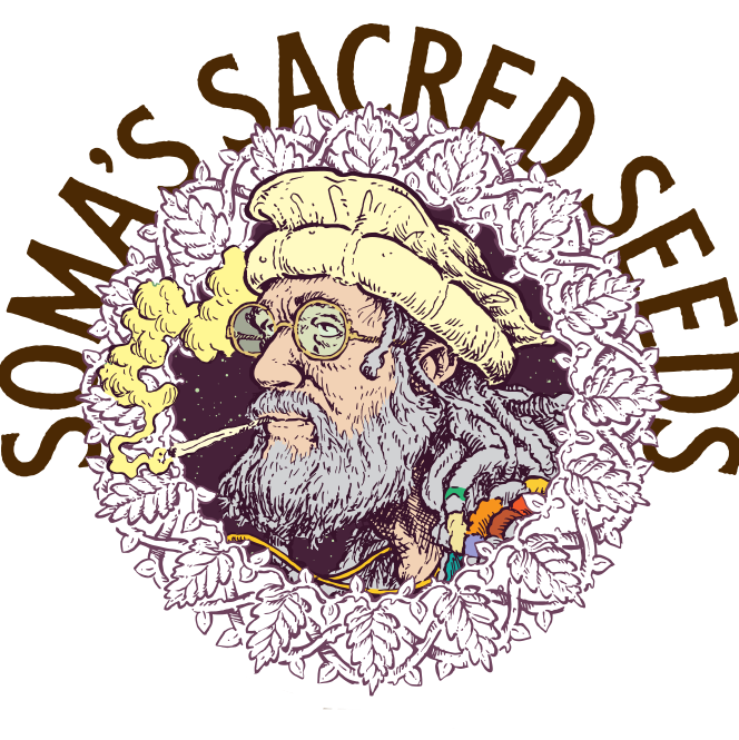 SOMASEEDS