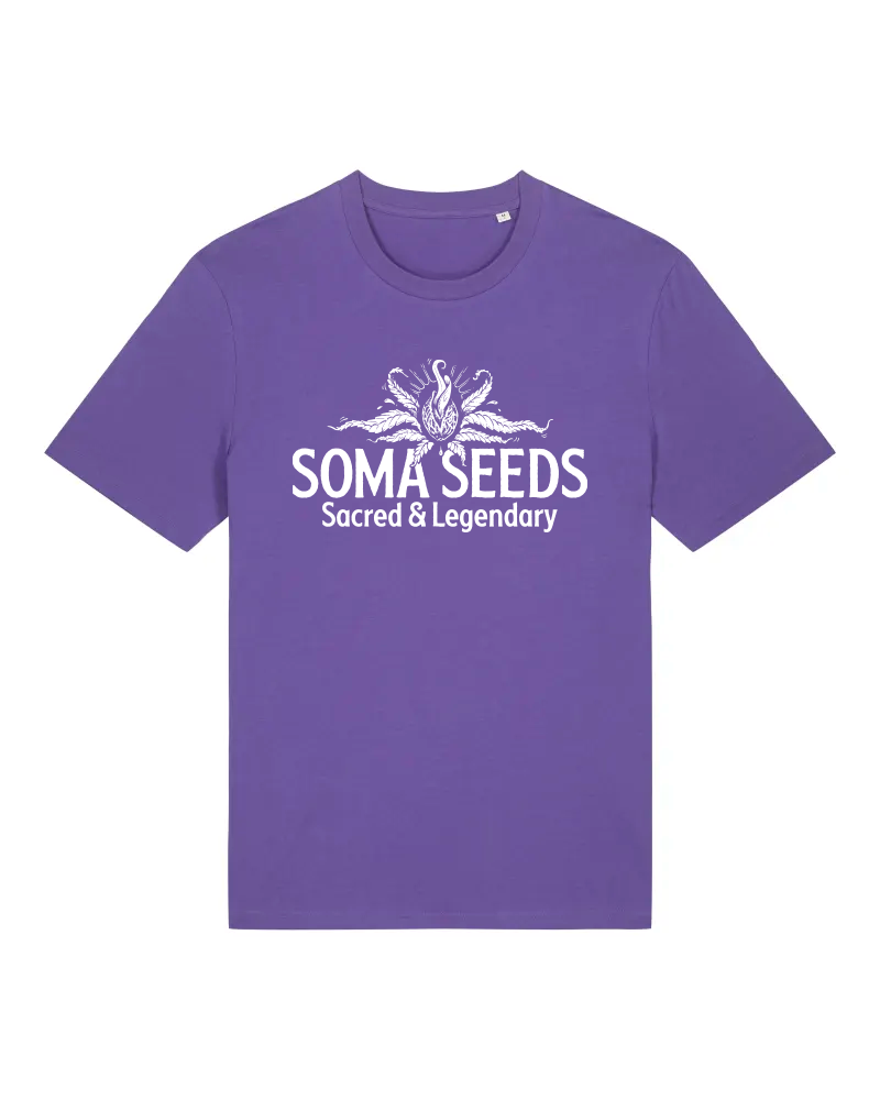 SOMASEEDS Tシャツ 2024 パープル