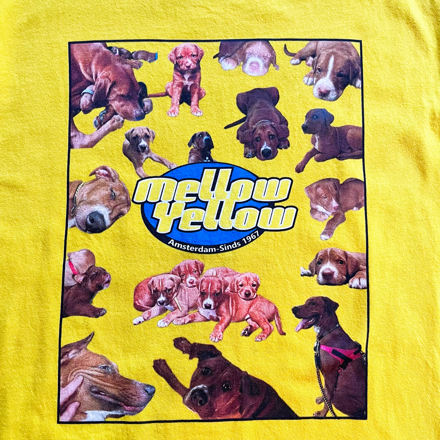 Mellow's Family Tシャツ