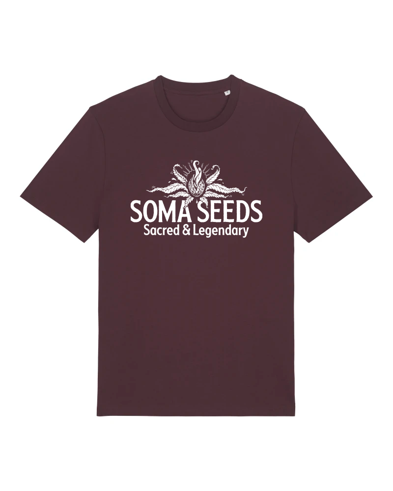 SOMASEEDS Tシャツ 2024 バーガンディ