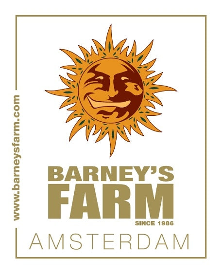 BARNEY'S FARM ロゴステッカー